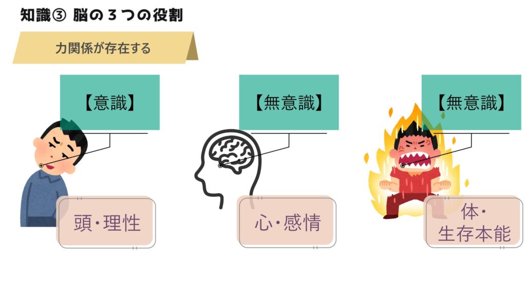 【知識③】脳の３つの役割