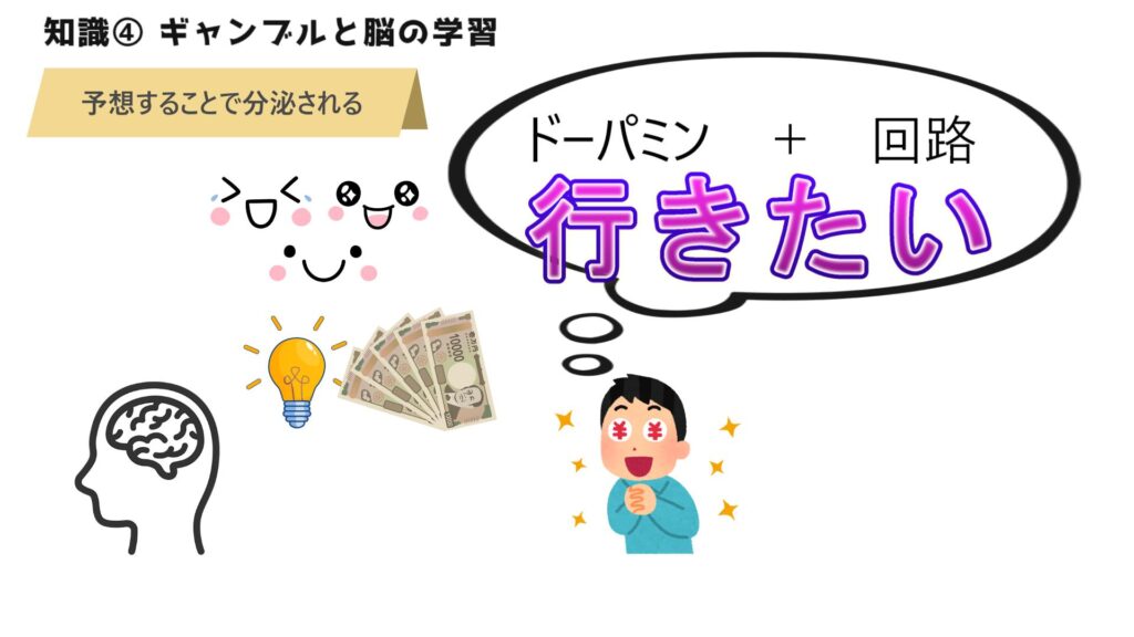 【知識④】ギャンブルと脳の学習