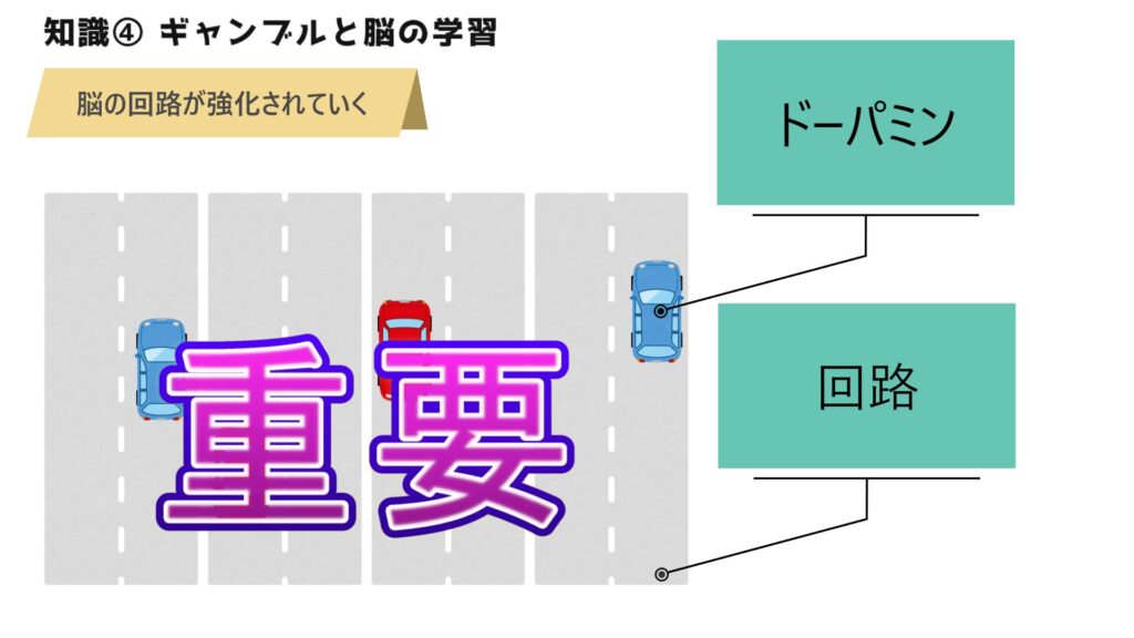 脳の回路が強化されていく